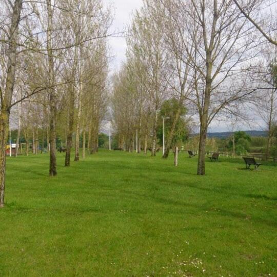 Appartamento Casa O'Lado Golegã Esterno foto