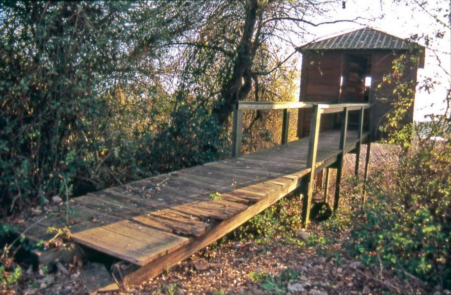Appartamento Casa O'Lado Golegã Esterno foto